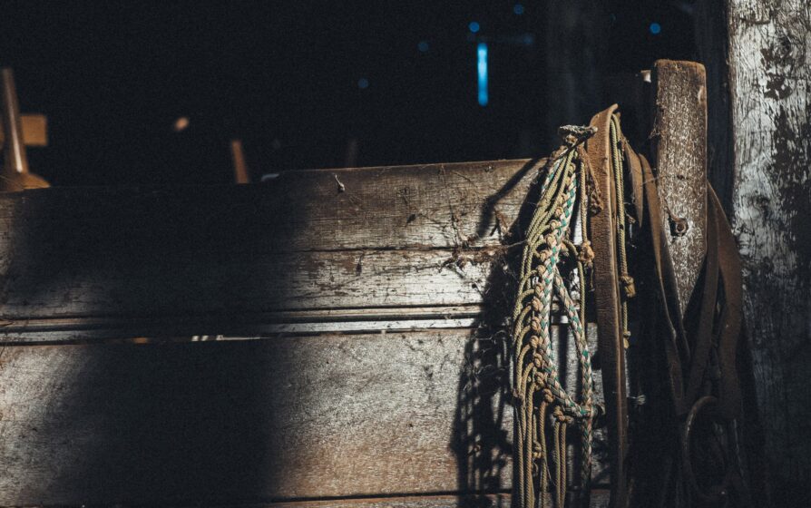Coiled rope and bridle hang on wooden post in historic shearer's quarters at Callubri Station.