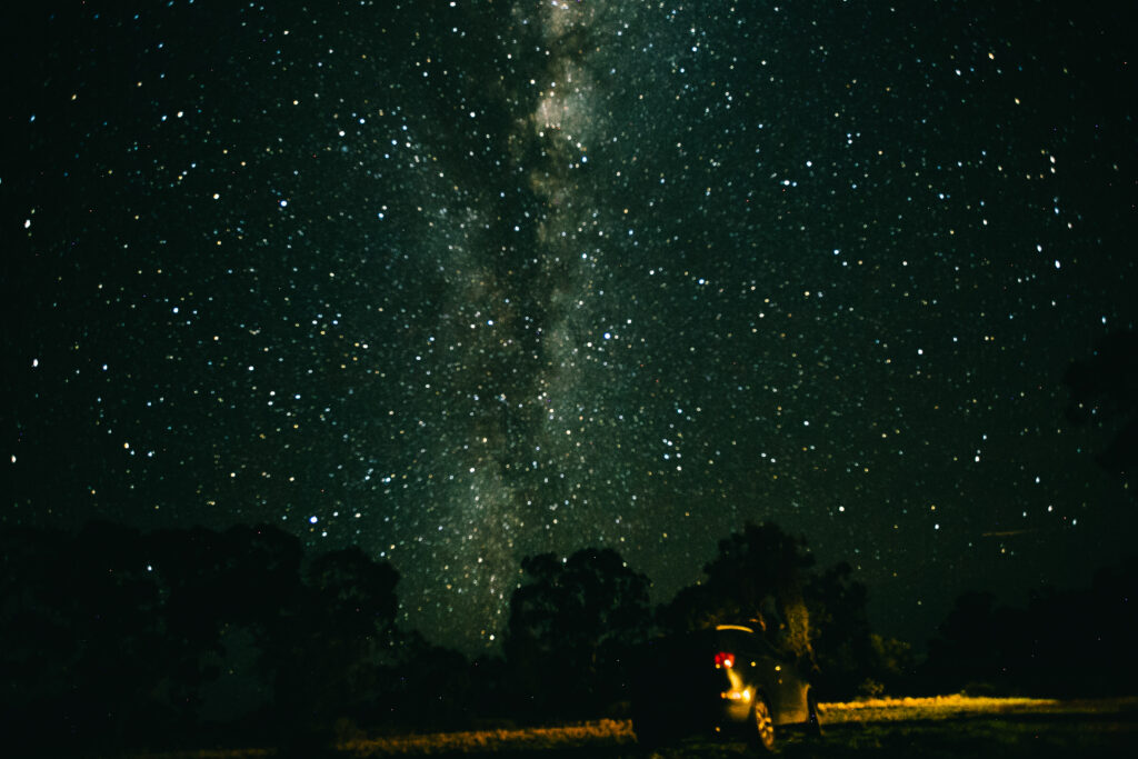 Milky Way stretches across dark outback NSW sky above silhouetted trees at Callubri Station.