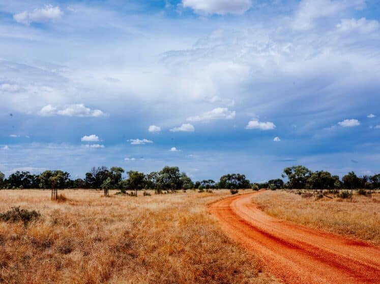 Red dirt road winds through Central West NSW outback station landscape.