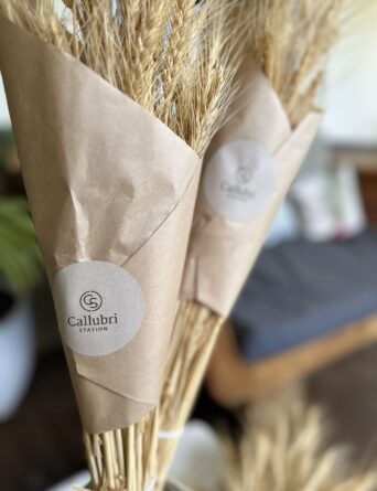 Paddock Posies - Two Long Bunches of Wheat (inc domestic postage)