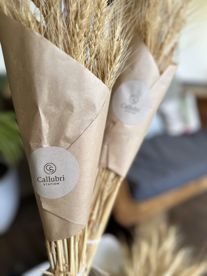 Paddock Posies - Two Long Bunches of Wheat (inc domestic postage)
