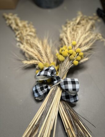 Paddock Posies - Two Mixed Bunches of Billy Buttons, Wheat and Oats (inc domestic postage)