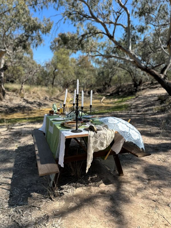 A Pioneer's Picnic - Image 3