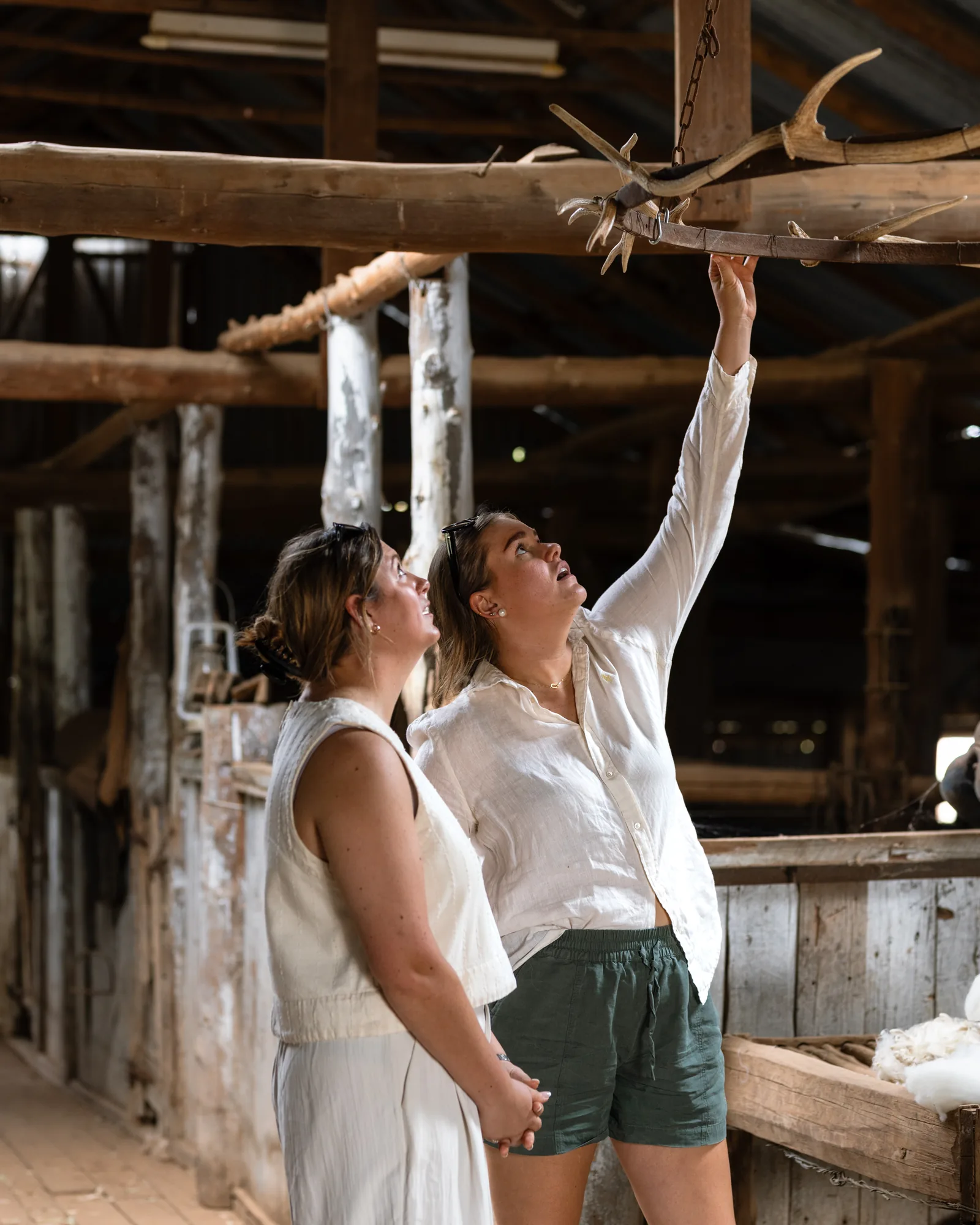 Agritourism in action on a farm tour